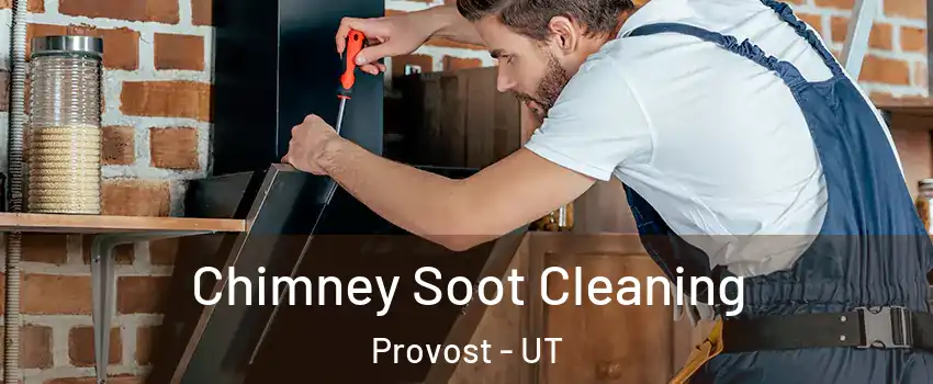Chimney Soot Cleaning Provost - UT