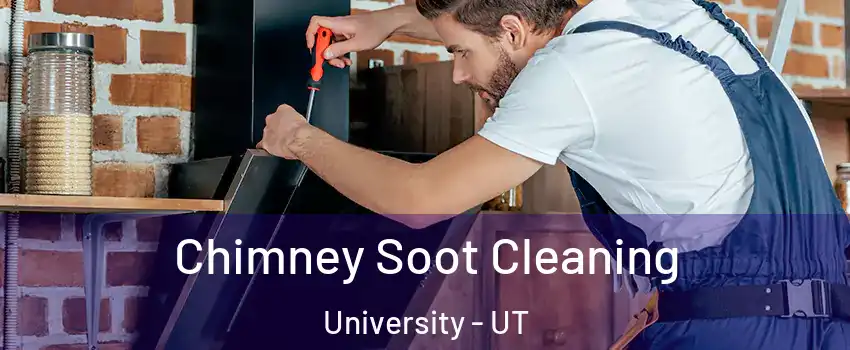 Chimney Soot Cleaning University - UT
