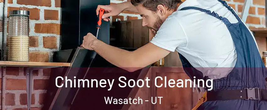Chimney Soot Cleaning Wasatch - UT