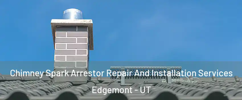 Chimney Spark Arrestor Repair And Installation Services Edgemont - UT
