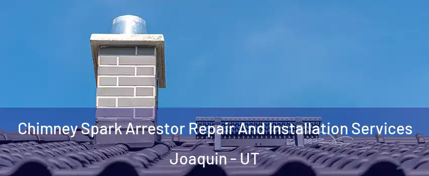 Chimney Spark Arrestor Repair And Installation Services Joaquin - UT