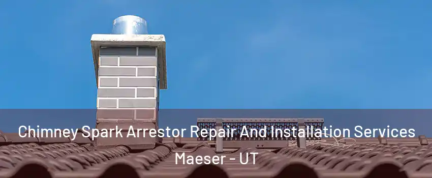 Chimney Spark Arrestor Repair And Installation Services Maeser - UT
