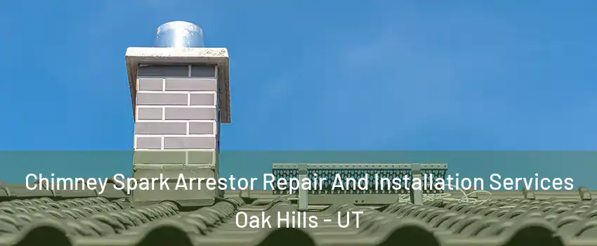 Chimney Spark Arrestor Repair And Installation Services Oak Hills - UT