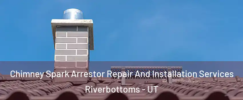 Chimney Spark Arrestor Repair And Installation Services Riverbottoms - UT