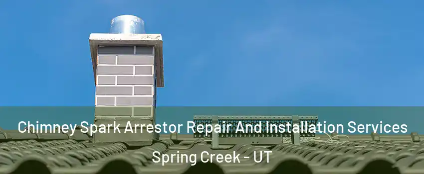 Chimney Spark Arrestor Repair And Installation Services Spring Creek - UT