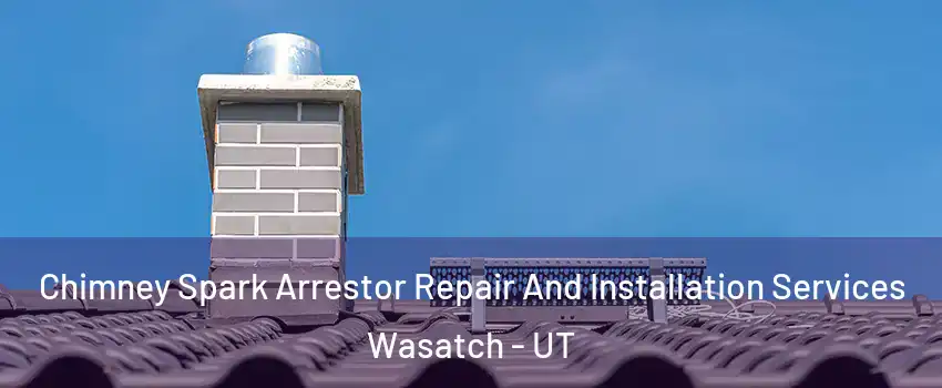 Chimney Spark Arrestor Repair And Installation Services Wasatch - UT