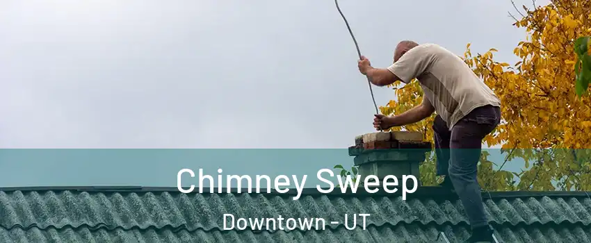 Chimney Sweep Downtown - UT