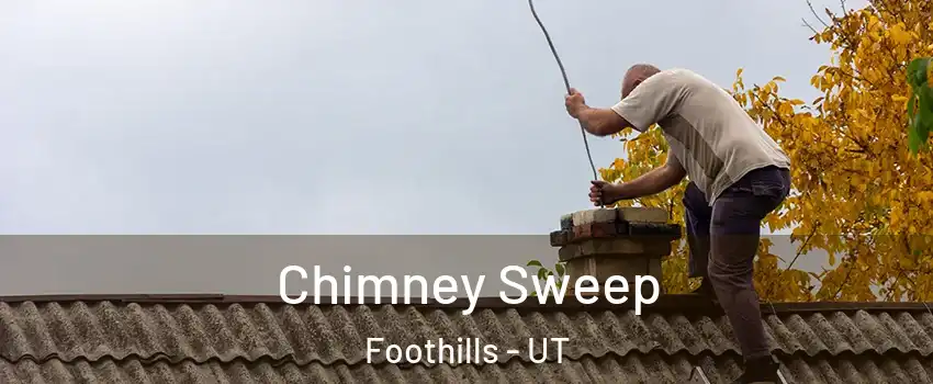 Chimney Sweep Foothills - UT