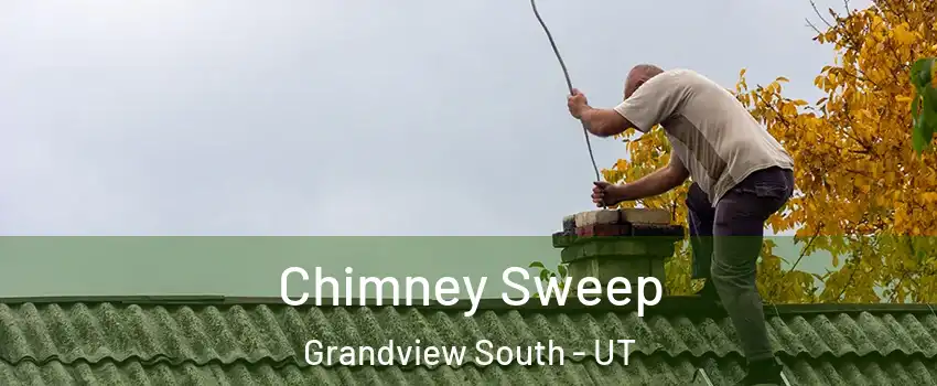 Chimney Sweep Grandview South - UT