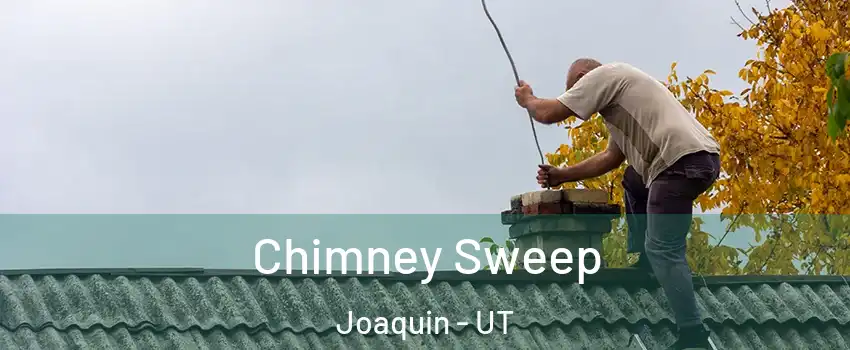 Chimney Sweep Joaquin - UT