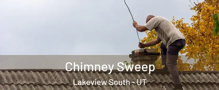 Chimney Sweep Lakeview South - UT