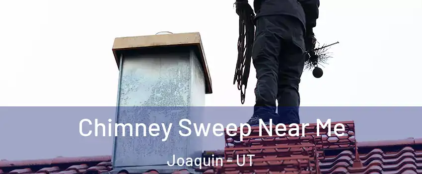 Chimney Sweep Near Me Joaquin - UT