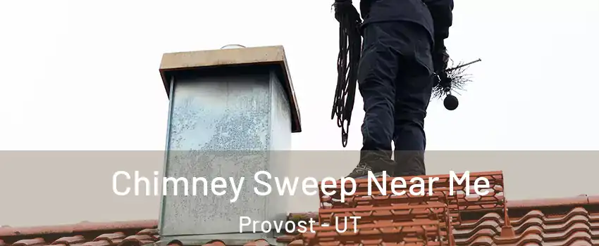 Chimney Sweep Near Me Provost - UT