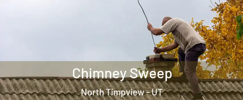 Chimney Sweep North Timpview - UT