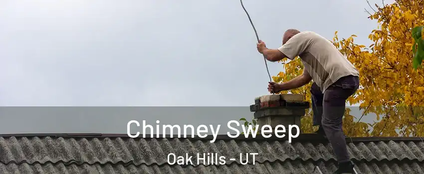 Chimney Sweep Oak Hills - UT