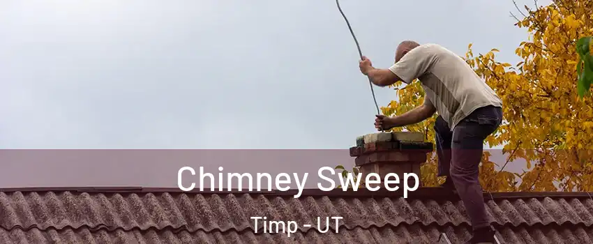 Chimney Sweep Timp - UT