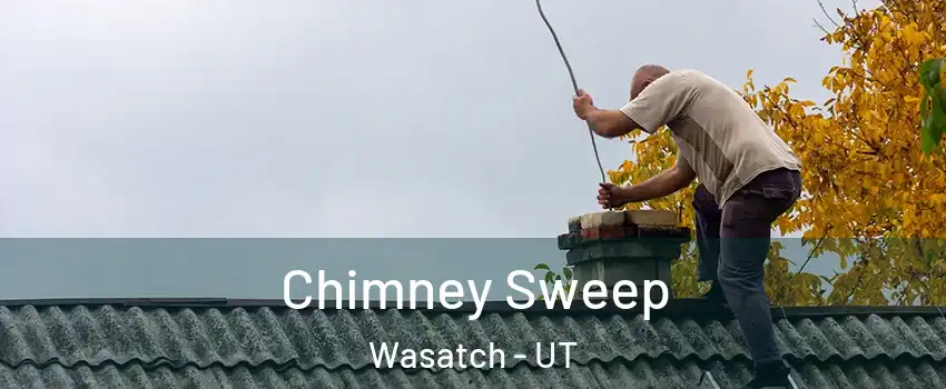 Chimney Sweep Wasatch - UT