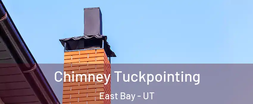 Chimney Tuckpointing East Bay - UT