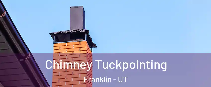 Chimney Tuckpointing Franklin - UT