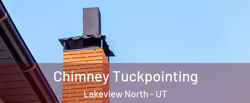 Chimney Tuckpointing Lakeview North - UT