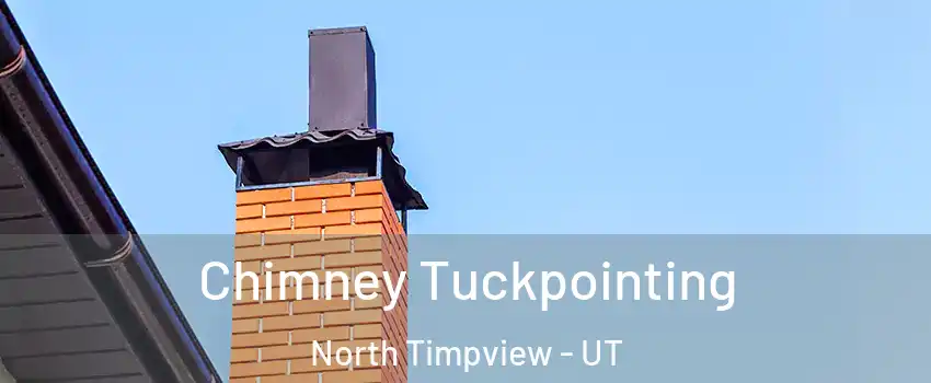 Chimney Tuckpointing North Timpview - UT