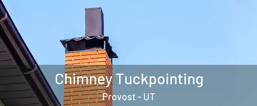 Chimney Tuckpointing Provost - UT