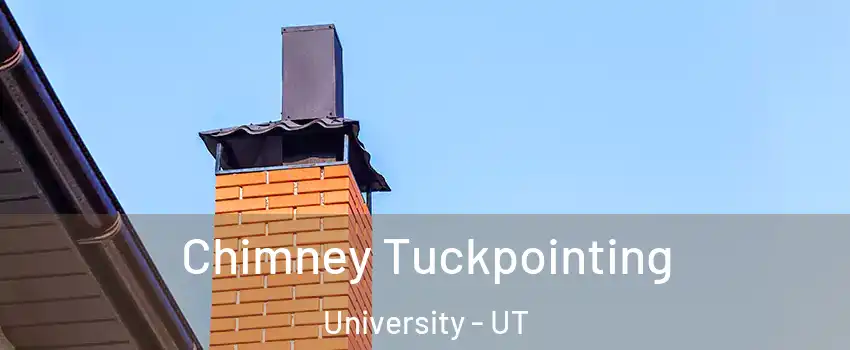 Chimney Tuckpointing University - UT