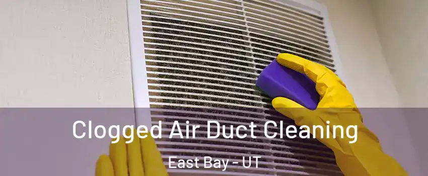 Clogged Air Duct Cleaning East Bay - UT