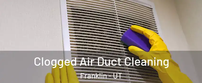 Clogged Air Duct Cleaning Franklin - UT