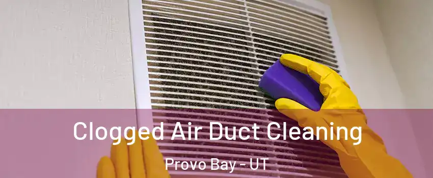 Clogged Air Duct Cleaning Provo Bay - UT