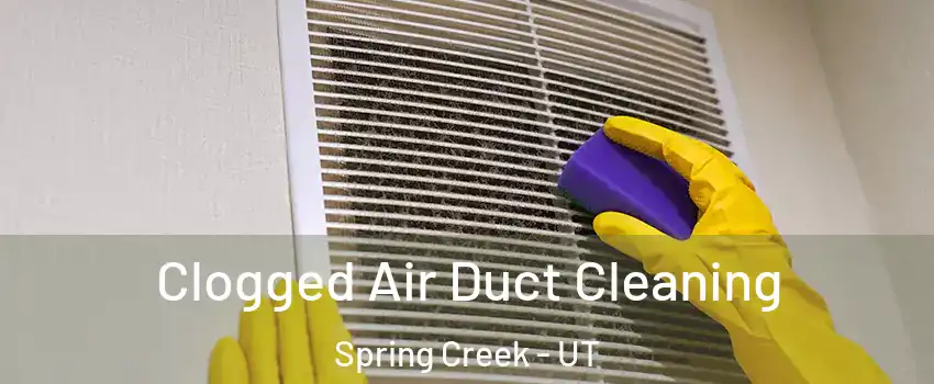 Clogged Air Duct Cleaning Spring Creek - UT