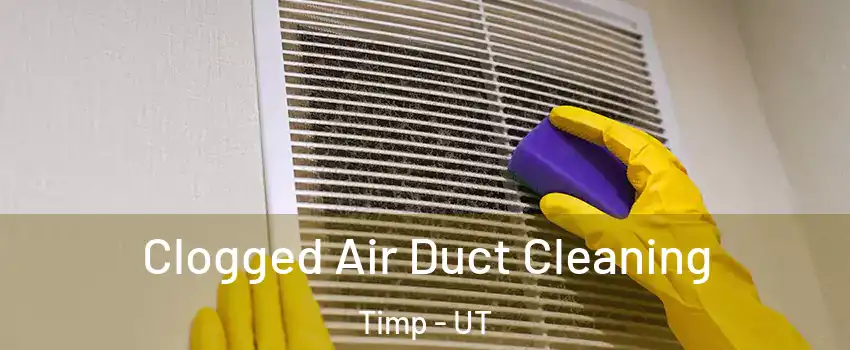 Clogged Air Duct Cleaning Timp - UT