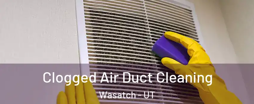 Clogged Air Duct Cleaning Wasatch - UT