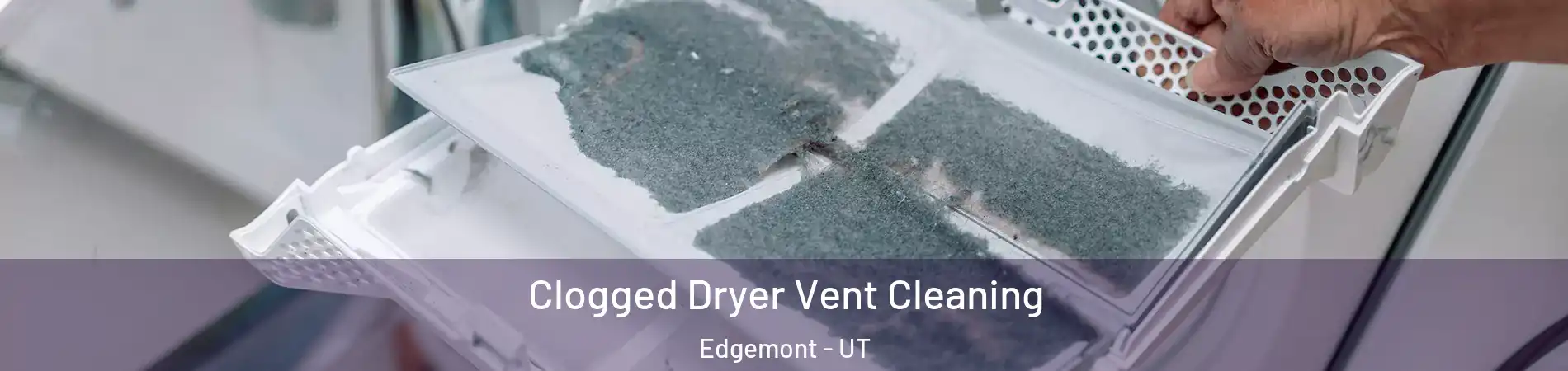 Clogged Dryer Vent Cleaning Edgemont - UT