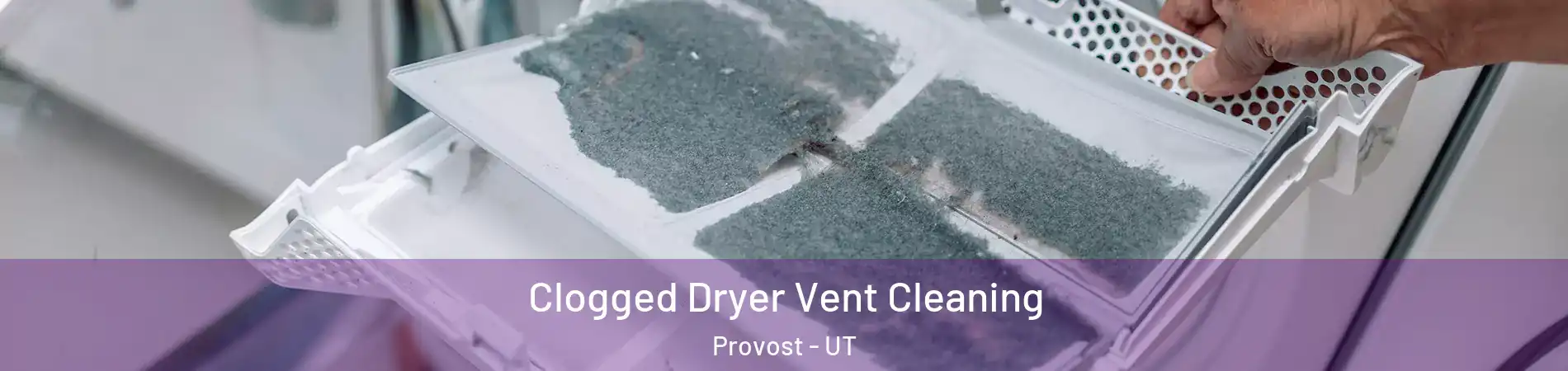 Clogged Dryer Vent Cleaning Provost - UT