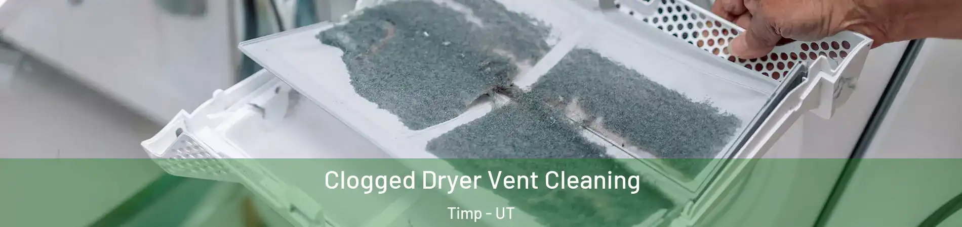 Clogged Dryer Vent Cleaning Timp - UT