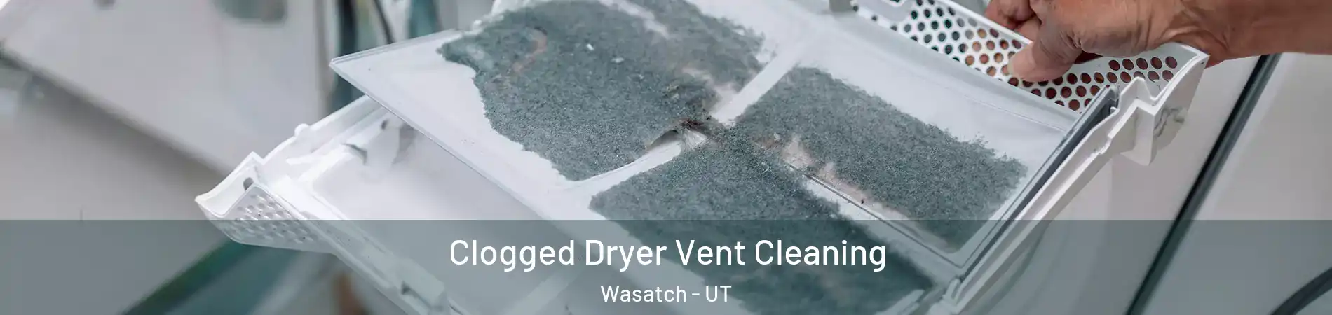 Clogged Dryer Vent Cleaning Wasatch - UT