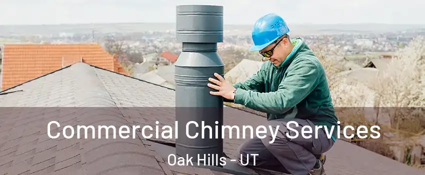 Commercial Chimney Services Oak Hills - UT