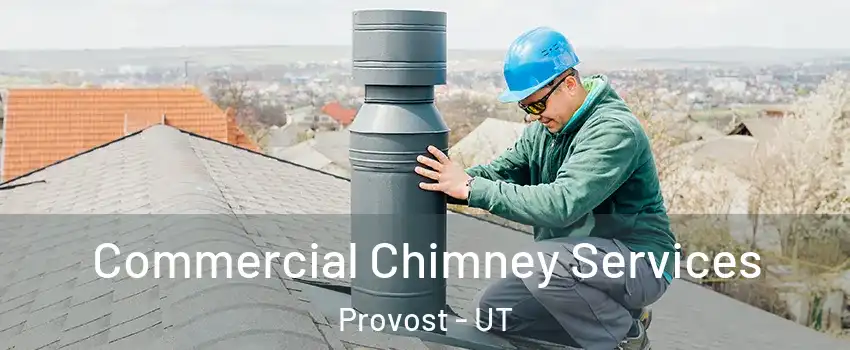 Commercial Chimney Services Provost - UT