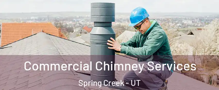 Commercial Chimney Services Spring Creek - UT