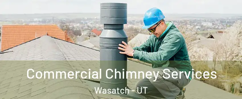 Commercial Chimney Services Wasatch - UT