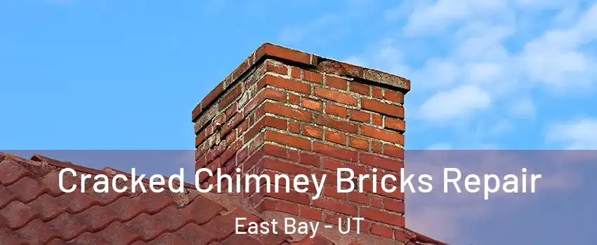 Cracked Chimney Bricks Repair East Bay - UT