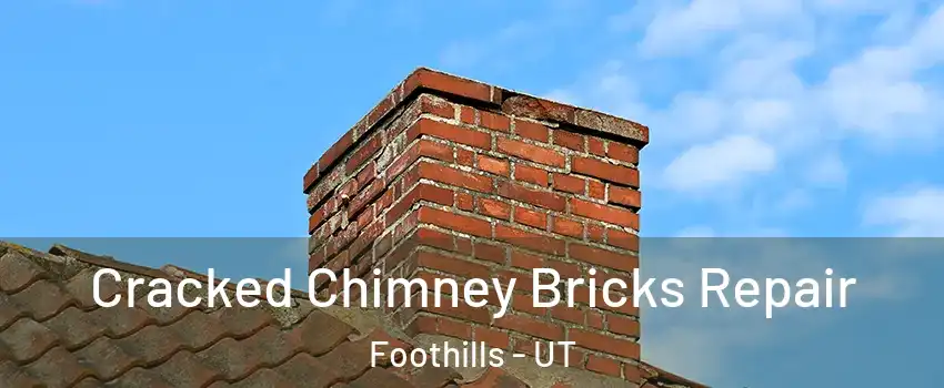 Cracked Chimney Bricks Repair Foothills - UT
