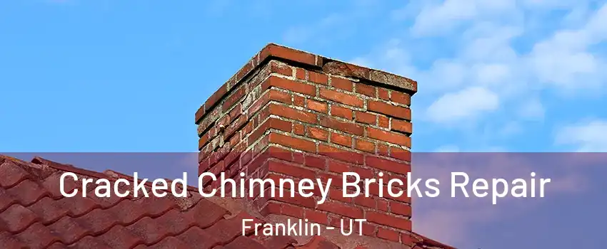 Cracked Chimney Bricks Repair Franklin - UT