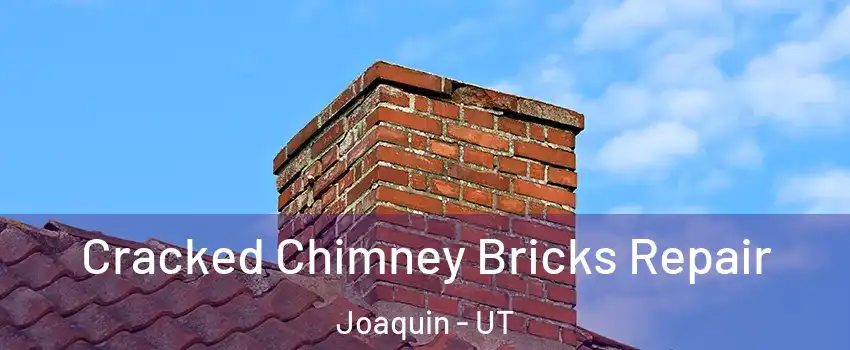 Cracked Chimney Bricks Repair Joaquin - UT