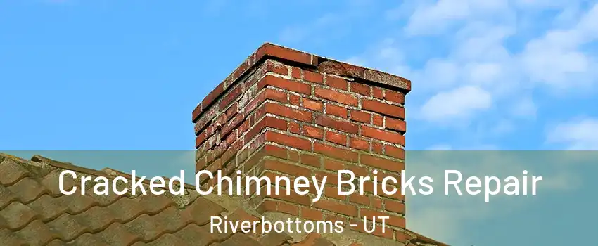 Cracked Chimney Bricks Repair Riverbottoms - UT