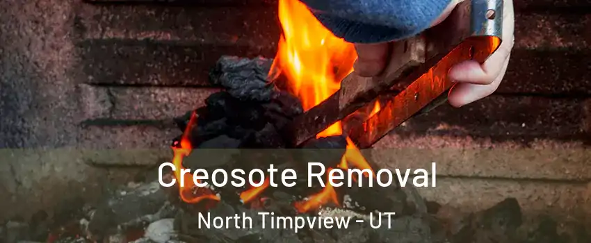 Creosote Removal North Timpview - UT