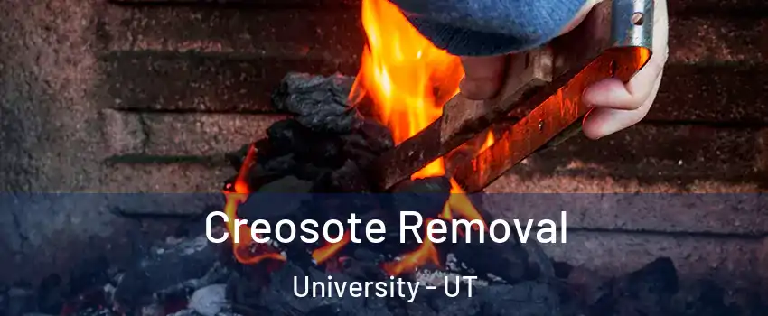 Creosote Removal University - UT