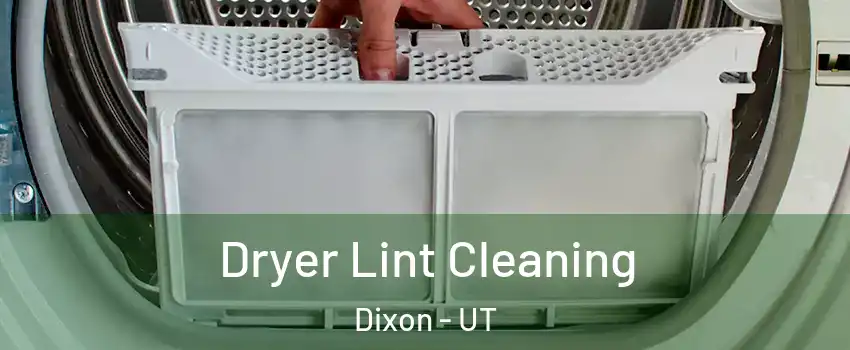 Dryer Lint Cleaning Dixon - UT