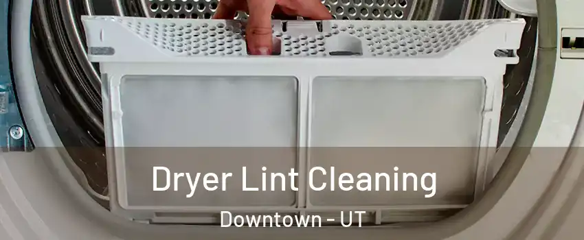 Dryer Lint Cleaning Downtown - UT